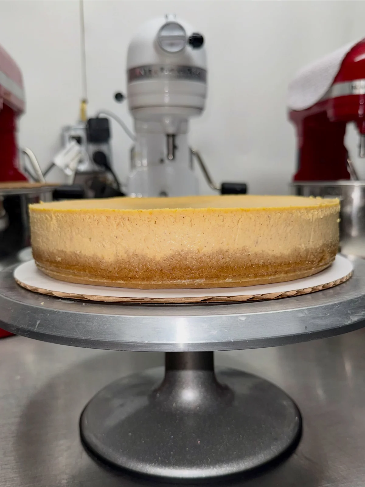 Side view of Tauro’s pumpkin cheesecake showing its filling and crust.