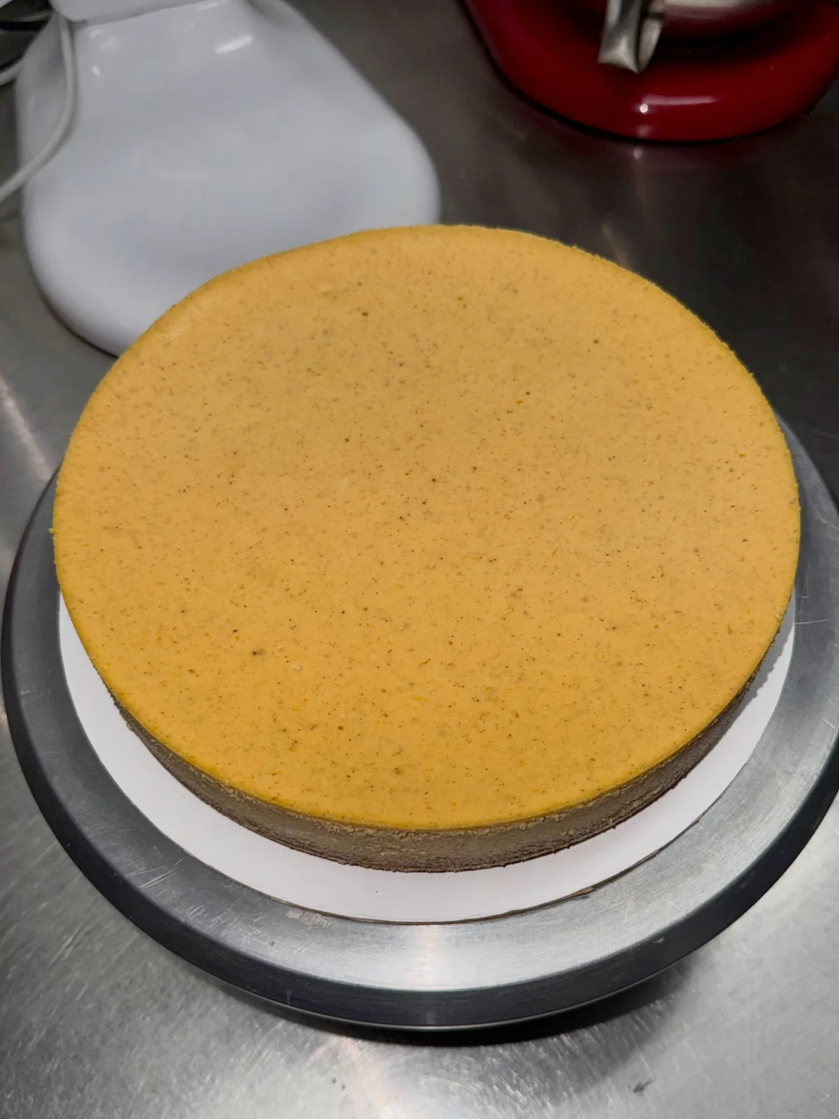 Overhead view of a freshly made Tauro’s pumpkin cheesecake.